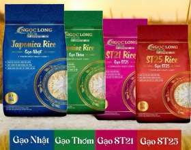 GẠO NGỌC LONG TUYỂN DỤNG