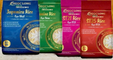 GẠO NGỌC LONG TUYỂN DỤNG